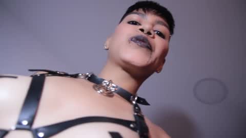 Taylor online show from December 2024 06:27:02 PM