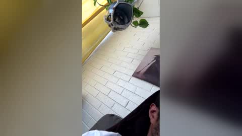 tazhardaway3435 online show from February 2026 08:40:02 PM