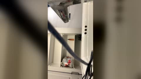 tazhardaway3435 online show from February 2026 07:35:01 AM