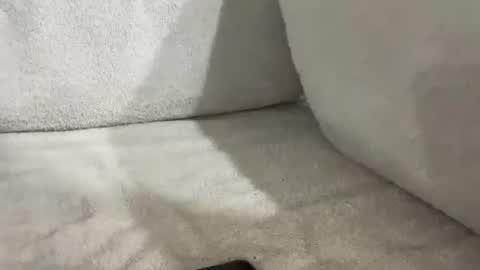 tbaexox online show from November 2025 06:19:02 AM