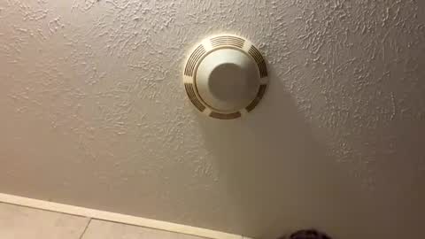 Snapshot of tbeebe12 chatting on October 2025 10:58:01 PM Lilbeebs online show from October 2025 10:58:01 PM