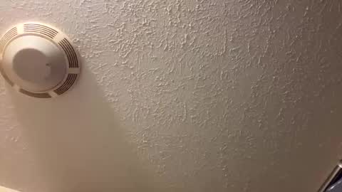 Snapshot of tbeebe12 chatting on March 2026 04:45:02 PM Lilbeebs online show from March 2026 04:45:02 PM