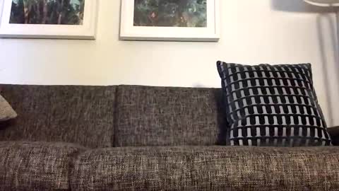 Snapshot of tbiz82 chatting on March 2026 04:17:02 AM Tbiz82 online show from March 2026 04:17:02 AM