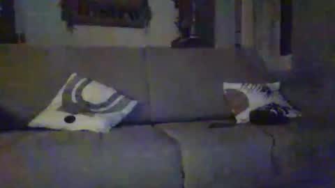 tchoop64 online show from December 2025 08:27:02 PM