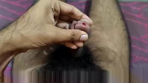 telugu_dick_hyd online show from February 2026 09:24:02 AM