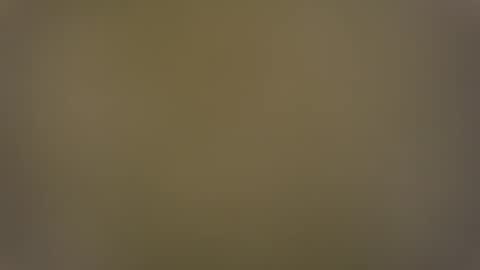 Snapshot of temptasian29 chatting on December 2024 07:55:01 AM T online show from December 2024 07:55:01 AM