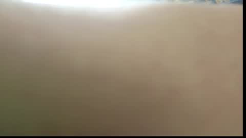 Snapshot of tender__ada chatting on February 2026 10:20:02 AM Ada online show from February 2026 10:20:02 AM