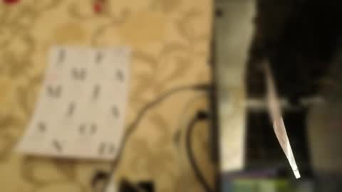 Snapshot of tender__ada chatting on March 2026 09:04:02 AM Ada online show from March 2026 09:04:02 AM