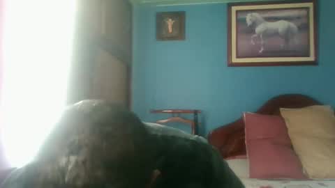 Snapshot of tender_eldelatienda chatting on January 2025 04:59:01 PM Fabio Canavaro online show from January 2025 04:59:01 PM