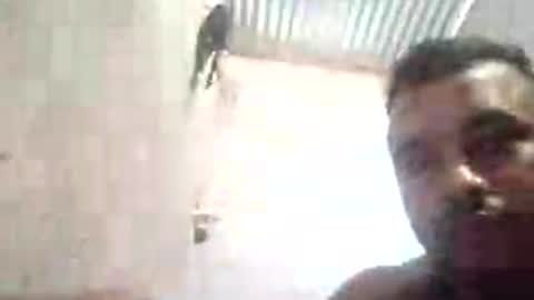 Snapshot of tenebroso808356 chatting on July 2026 12:33:02 PM tenebroso808356 online show from July 2026 12:33:02 PM