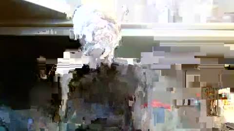 terdy2366 online show from October 2025 03:25:02 AM