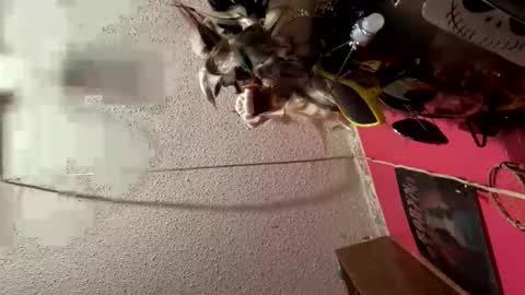 Teresa online show from September 2025 01:12:01 PM