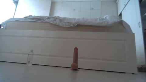 Terry online show from March 2026 09:53:02 AM