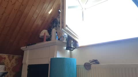 Tessa online show from April 2026 02:04:02 PM