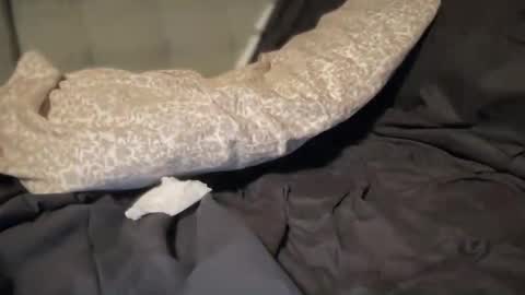 test502435 online show from February 2026 03:14:02 AM