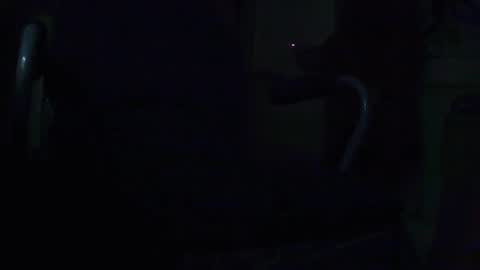 Snapshot of tetuo2 chatting on September 2025 09:36:02 AM tetuo2 online show from September 2025 09:36:02 AM