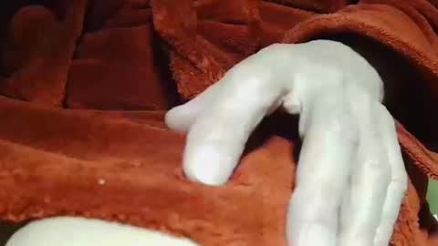 Snapshot of tetuo2 chatting on October 2025 04:13:02 AM tetuo2 online show from October 2025 04:13:02 AM