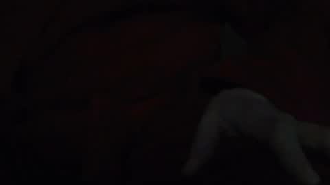 Snapshot of tetuo2 chatting on November 2025 05:13:02 AM tetuo2 online show from November 2025 05:13:02 AM