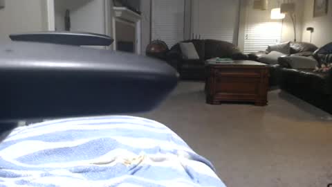 texasmale53 online show from June 2026 02:38:01 AM