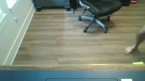 tfm138 online show from May 2026 04:04:02 PM