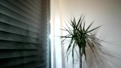 tger2024 online show from November 2025 03:57:01 PM