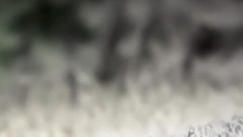 Snapshot of thankyoudaddy1 chatting on March 2026 07:36:02 AM thankyoudaddy1 online show from March 2026 07:36:02 AM