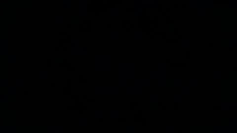 Duke online show from February 2025 02:55:01 AM