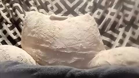 Snapshot of thatb1 chatting on April 2026 05:46:02 AM thatb1 online show from April 2026 05:46:02 AM