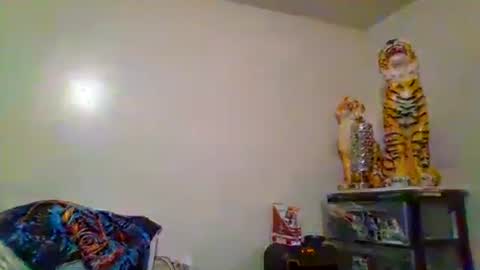 Snapshot of thatgirl4201 chatting on November 2025 05:27:02 AM thatgirl4201 online show from November 2025 05:27:02 AM