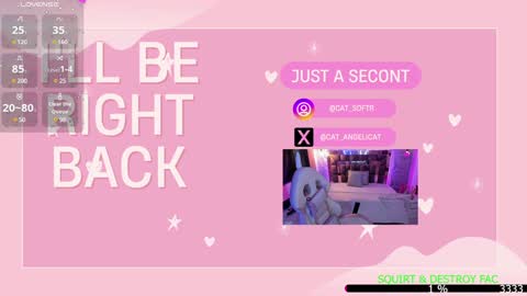 Snapshot of the_cat_girl_ chatting on January 2025 09:52:02 PM i am Cat online show from January 2025 09:52:02 PM