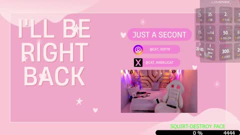 Snapshot of the_cat_girl_ chatting on January 2025 07:34:01 PM i am Cat online show from January 2025 07:34:01 PM