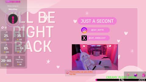 Snapshot of the_cat_girl_ chatting on January 2025 10:08:02 PM i am Cat online show from January 2025 10:08:02 PM