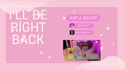 Snapshot of the_cat_girl_ chatting on March 2025 07:06:01 PM i am Cat online show from March 2025 07:06:01 PM
