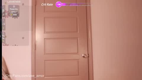 Snapshot of the_hippieprincess chatting on January 2025 02:08:02 PM Zee Amor online show from January 2025 02:08:02 PM