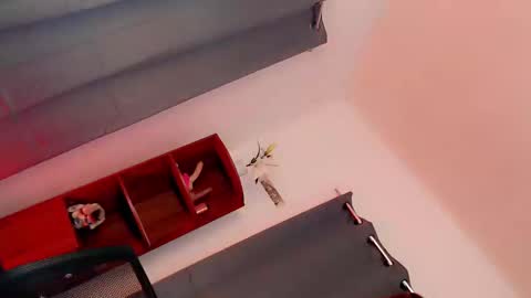 the_naughty_kyra online show from February 2025 03:22:01 AM