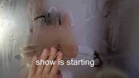 Anna online show from December 2025 01:23:01 AM