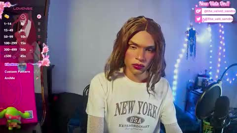 Snapshot of the_velvet_sandra chatting on February 2026 05:03:02 AM Sandra 3 online show from February 2026 05:03:02 AM