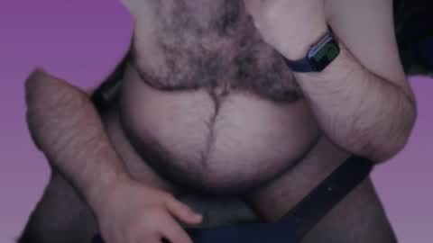 The Bear King online show from March 2025 07:56:02 AM