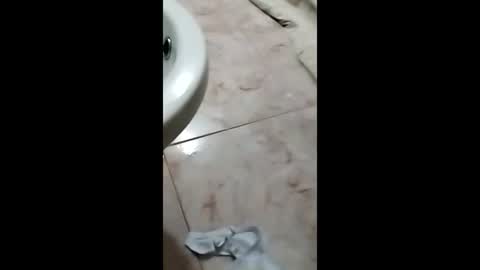 thedo121111 online show from October 2025 01:17:02 PM