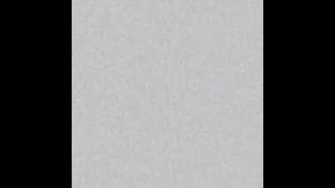 Wolf Independent model online show from November 2025 02:43:02 PM