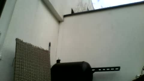 theforkliftman online show from March 2026 12:41:01 PM