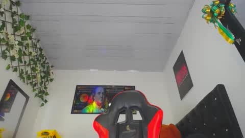 Snapshot of thegemini_prince chatting on December 2024 02:52:01 PM Prince online show from December 2024 02:52:01 PM
