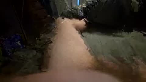 thegreatcornholio69 online show from June 2026 01:20:02 PM