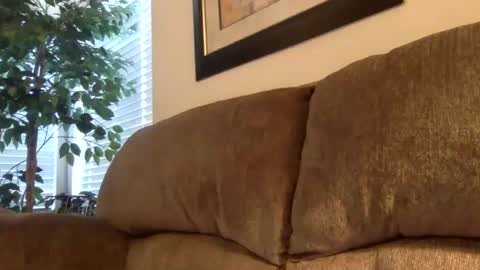 Snapshot of thehairyprince chatting on January 2025 10:24:01 PM Harry online show from January 2025 10:24:01 PM