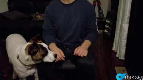 thekodyy online show from October 2025 12:55:01 AM