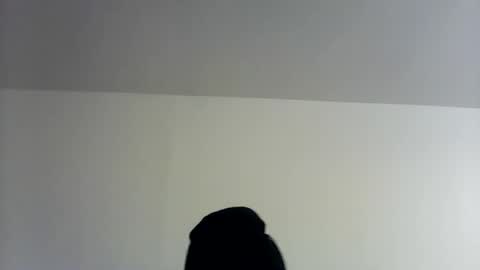 Snapshot of theman18951pa chatting on November 2025 10:06:02 AM theman18951pa online show from November 2025 10:06:02 AM