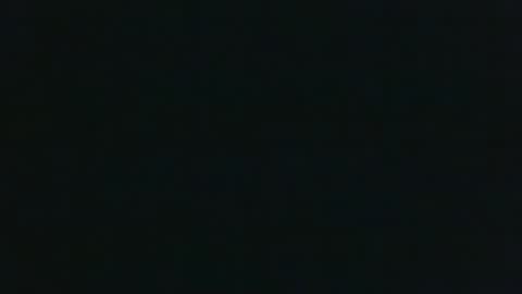 JohnSilver online show from December 2024 12:55:02 PM