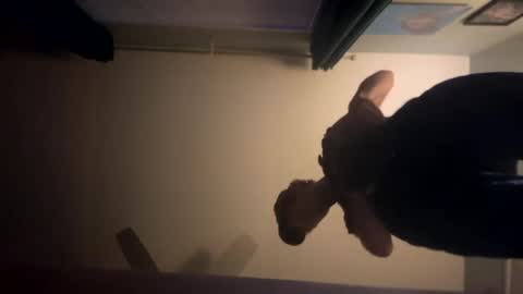 theonlyboi43ver online show from January 2025 01:49:01 AM