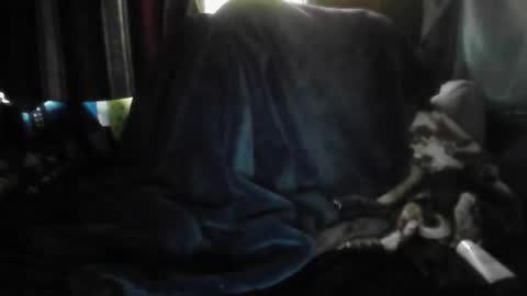 theonlyboi43ver online show from March 2026 12:11:02 PM