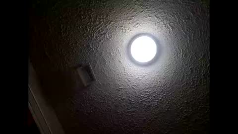 Amelia online show from January 2026 02:44:01 PM